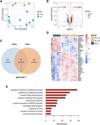 Identification of Hypoxia Induced Metabolism Associated Genes in Pulmonary Hypertension